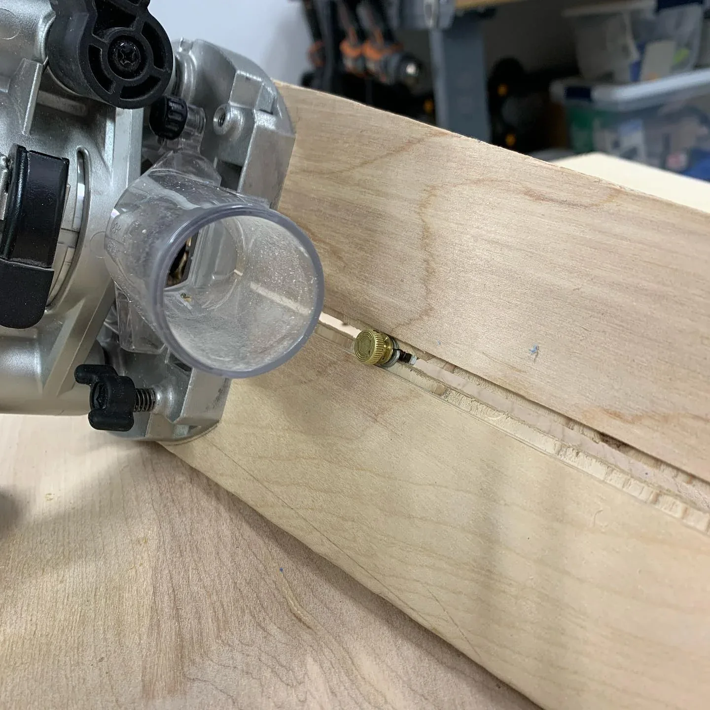 Router, adjustable circle jig, and a circular wood cutout.
